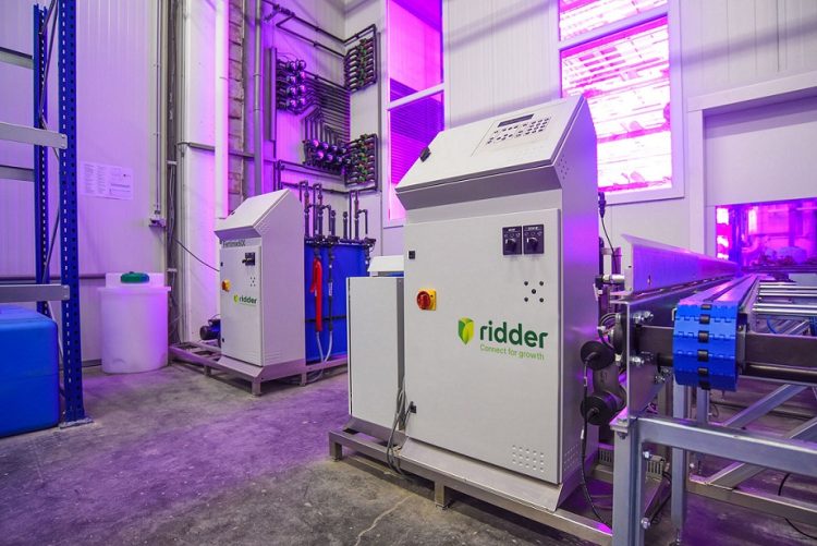 Smart Greenhouse Technologies for Efficient and Scalable Food and Flower Production