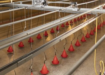 Ridder Drive Systems for Livestock and Crop Storage
