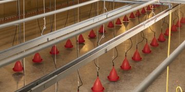 Ridder Drive Systems for Livestock and Crop Storage