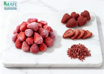 Unlocking the Future of Agri-Food: MAFI Brings Innovation to PLME 2025