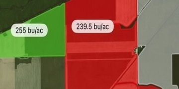 GROWMARK’s myFS Agronomy Platform Deploys Yield Prediction Capabilities