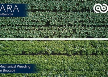 Ecorobotix opens the door to Ultra-High Precision (UHP) treatment in vegetable farming, a world first