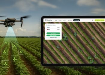 CultiWise: New AI lets farmers train weed recognition in real time