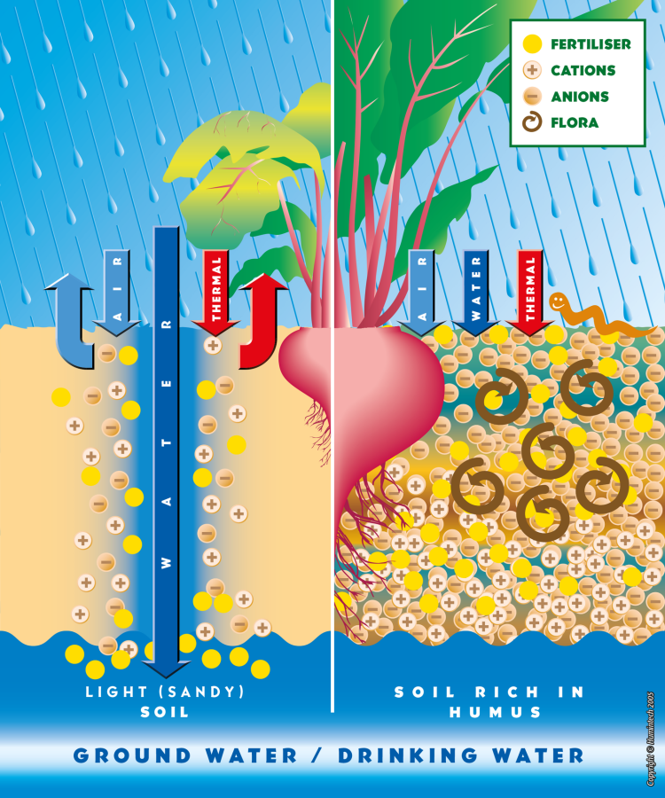 Humic Substances for Soil Stabilization and Nutrient Management in Gulf Agriculture, Humintech GmbH