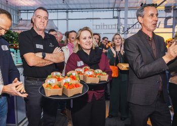 HIC launches the first venture studio for greenhouse horticulture