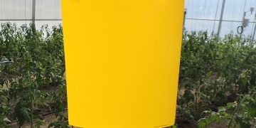 The Fastest Adhesive Trap to Set and With The Largest Sticky Surface Area Hits The Market