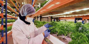 Informatica Partners with Emirates Flight Catering to Build a Smarter, Data-Driven Catering Operation