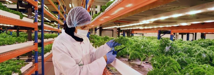 Informatica Partners with Emirates Flight Catering to Build a Smarter, Data-Driven Catering Operation