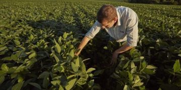 BASF Agricultural Solutions To Acquire Biological Insect Control Group AgBiTech