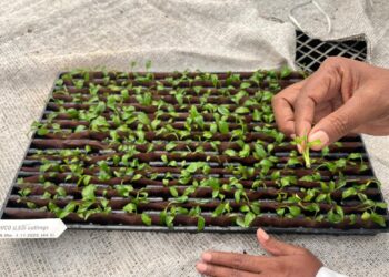 Selecta One and KF Bioplants Advance Sustainable Horticulture in India with RCS 2.0