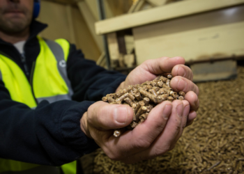6 Key Performance Indicators for Measuring Feed Production Throughput