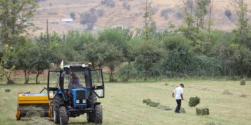 IFAD and Bank Arvand support REMIT PRIME programme to leverage remittances in Tajikistan’s rural communities