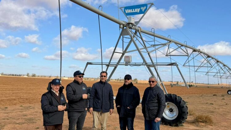 Tarhuna Set for First Large-Scale Olive Project Using Linear Pivot Irrigation