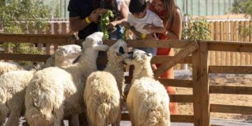 Emirates Bio Farm to Host a Three-Day Organic Festival Celebrating Local Food and Sustainable Living