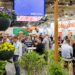 Great Atmosphere, Strong Conversations: IPM ESSEN 2026 Sends Positive Signals for the Horticultural Industry