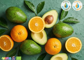 Eosta Reveals Organic Raingrown Initiative for Avocados and Oranges Saved 1.6 Billion Litres of water in 2025