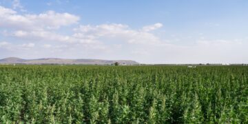 The National Agriculture Center and Sheraa Launch Agriboost 2026 to Advance Sustainable Agriculture Solutions