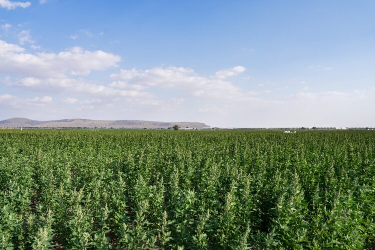 The National Agriculture Center and Sheraa Launch Agriboost 2026 to Advance Sustainable Agriculture Solutions