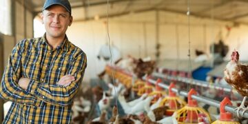 New ABB Whitepaper Rethinks Poultry Ventilation Strategy