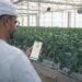 NRTC Launches First-of-Its-Kind Mazraati Digital Platform to Transform Farm-to-Fork in the UAE
