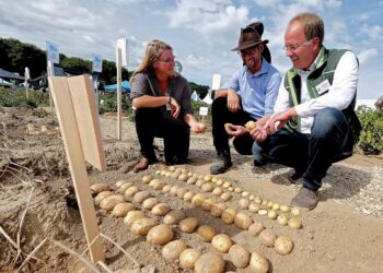 PotatoEurope 2026 and SugarBeet Expo: Two Trade Fairs, One Event