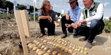 PotatoEurope 2026 and SugarBeet Expo: Two Trade Fairs, One Event