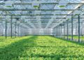 Growing Smarter with Advanced Polycarbonate Sheets for Greenhouse