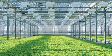 Growing Smarter with Advanced Polycarbonate Sheets for Greenhouse
