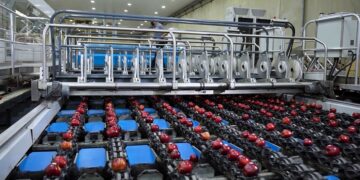 Washington Fruit Growers and Sinclair Celebrate 30+ Years of Operational Excellence in Automated Labeling