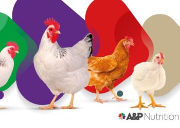 Invisible stressors: When unseen challenges limit performance