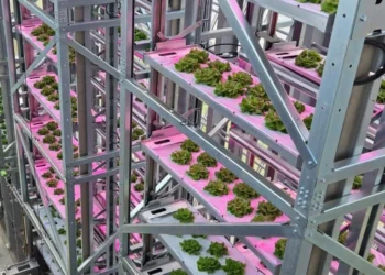Urban Crop Solutions Selected Once Again in the Foodtech 500 List