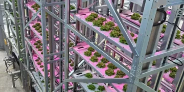 Urban Crop Solutions Selected Once Again in the Foodtech 500 List