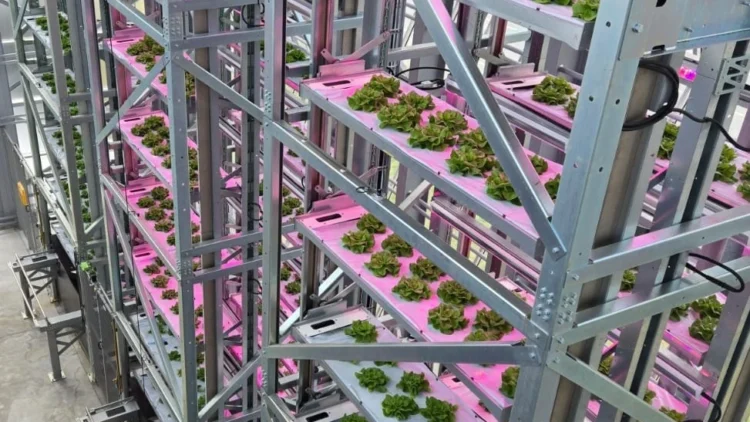 Urban Crop Solutions Selected Once Again in the Foodtech 500 List