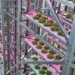 Urban Crop Solutions Selected Once Again in the Foodtech 500 List