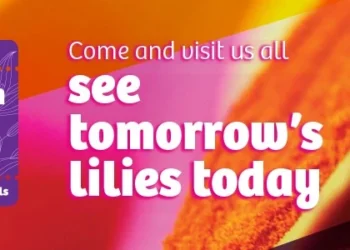 Dutch Lily Days Shows How the Lily Sector is Responding to New Challenges