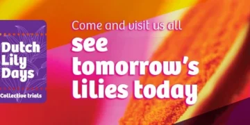 Dutch Lily Days Shows How the Lily Sector is Responding to New Challenges