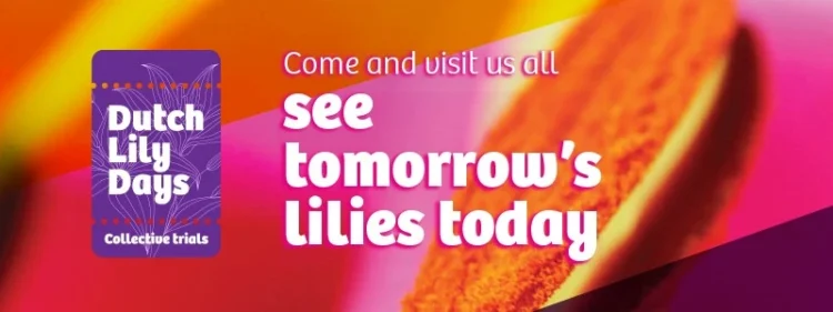 Dutch Lily Days Shows How the Lily Sector is Responding to New Challenges
