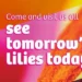 Dutch Lily Days Shows How the Lily Sector is Responding to New Challenges