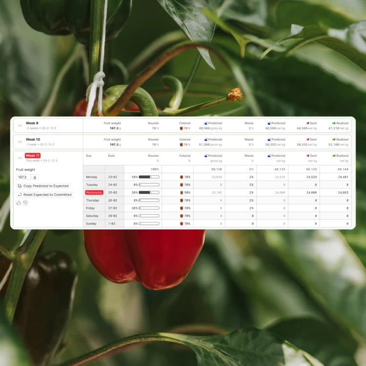 Source.ag Launches AI-Powered Harvest Forecast for Pepper Growers