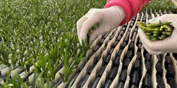 Selecta One Strengthens the International IP foundation of RCS® 2.0