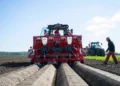Potato Planting Event Marks Kick-Off for PotatoEurope 2026 and SugarBeet Expo