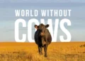 World Without Cows Places Ireland’s Dairy Producers at the Center of the Global Food Conversation with the Pasture Paradox