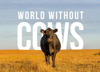 World Without Cows Places Ireland’s Dairy Producers at the Center of the Global Food Conversation with the Pasture Paradox
