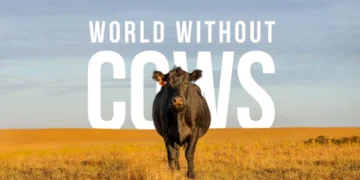 World Without Cows Places Ireland’s Dairy Producers at the Center of the Global Food Conversation with the Pasture Paradox