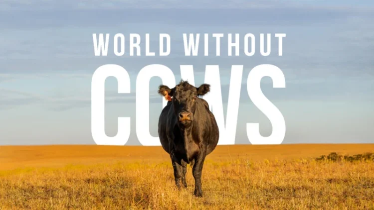 World Without Cows Places Ireland’s Dairy Producers at the Center of the Global Food Conversation with the Pasture Paradox