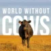 World Without Cows Places Ireland’s Dairy Producers at the Center of the Global Food Conversation with the Pasture Paradox