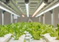 GreenTech North America Conference Taking Shape with Leading CEA Voices