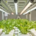 GreenTech North America Conference Taking Shape with Leading CEA Voices