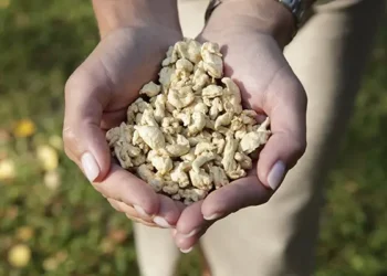 Happy Plant Protein’s Technology to be Deployed in a First-of-its-Kind Agriculture-Based Production Facility in Latvia and Europe