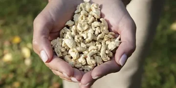 Happy Plant Protein’s Technology to be Deployed in a First-of-its-Kind Agriculture-Based Production Facility in Latvia and Europe